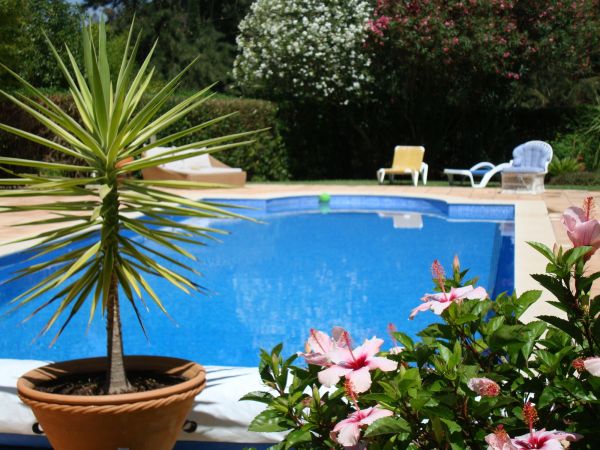 Pool Terrace Renovation in Edmonds