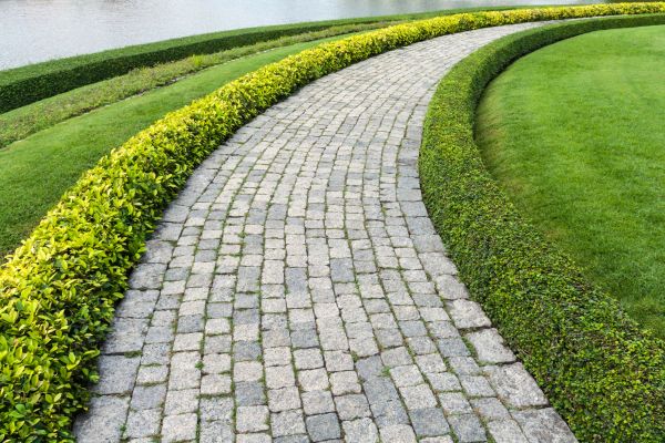 Sidewalk Pavers Installation in Edmonds